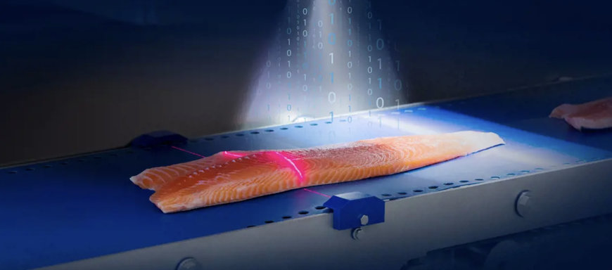 MAREL : COMMENT LE NUMÉRIQUE ASSURE LA TRAÇABILITÉ DES PRODUITS DE LA PÊCHE